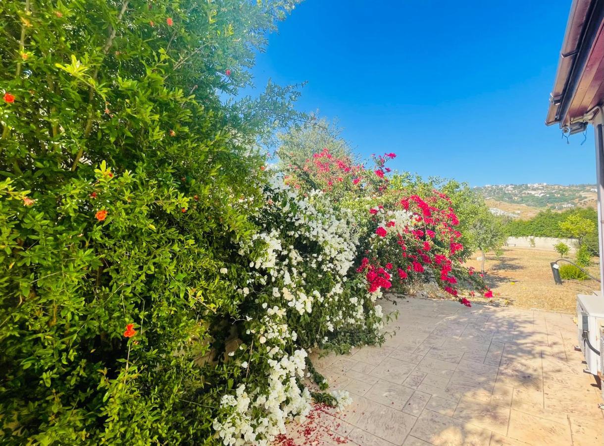 Beautiful Home Paphos Kültér fotó